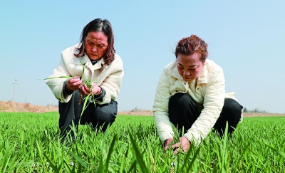 ���أ������ܡ�����ʱ