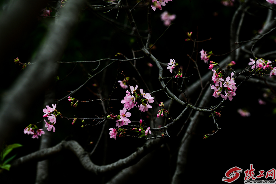 ӣ��������ͼ��