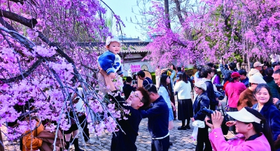 ��ɫ������ �ο͡��򿨡�æ