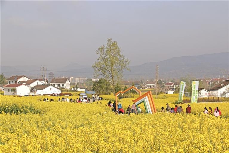 �Ͳ˻����뻭��