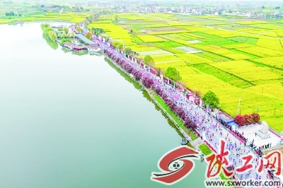 2026���а�������ɿ���