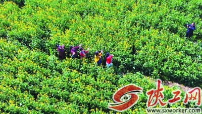 ���򿨡������е��Ͳ˻���