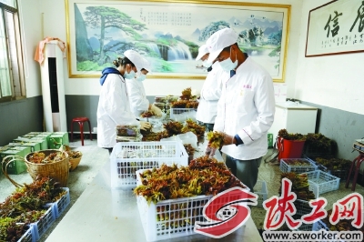 ���˽����۵��㴻ѿ���װ�䷢����