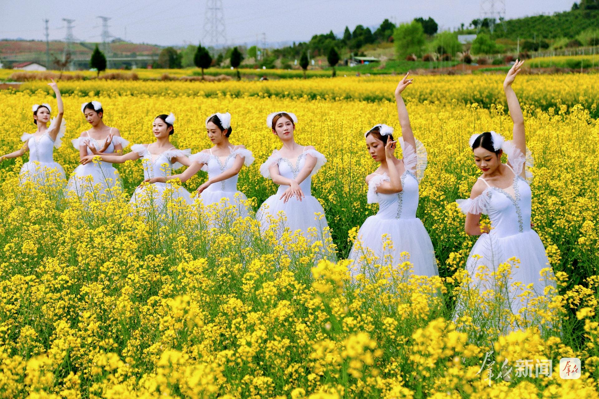 ����������������Ʒ�г��Ȳ�����​ �����ҵ���Ծɻ��´�������33368.95��Ԫ