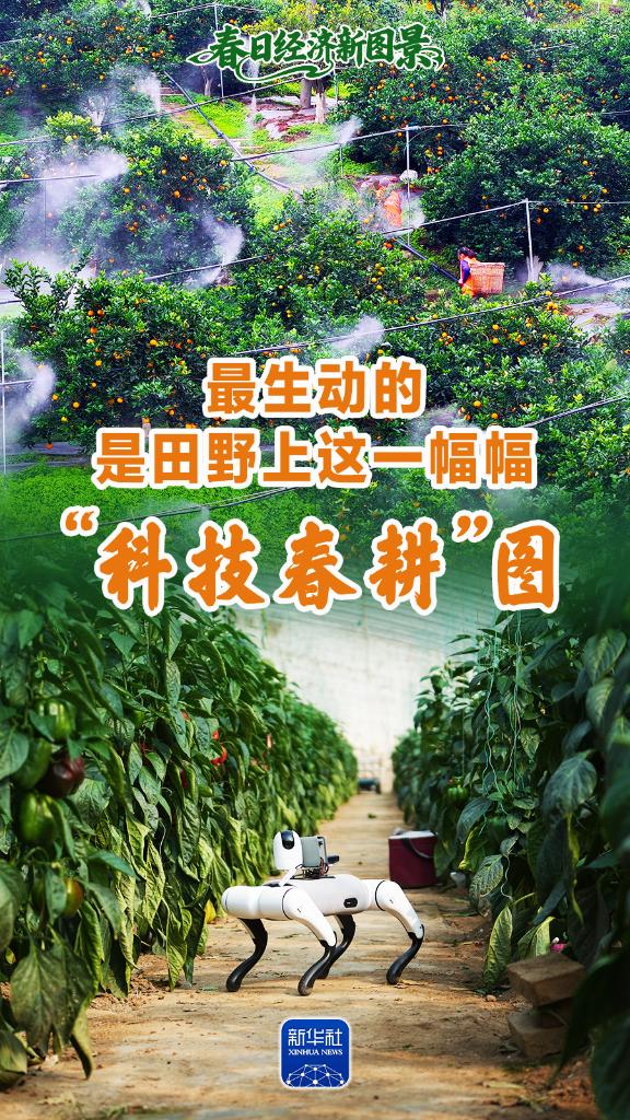 �������ģ�����Ұ����һ�������Ƽ�������ͼ��