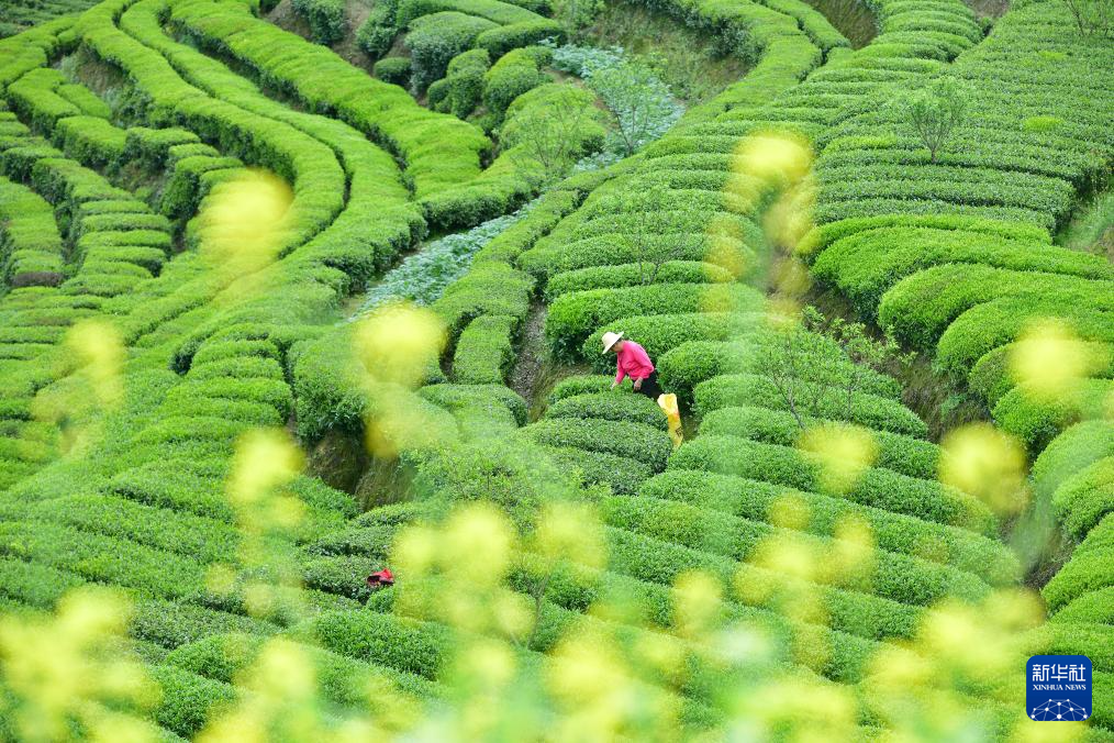 ����Ʈ���ժæ