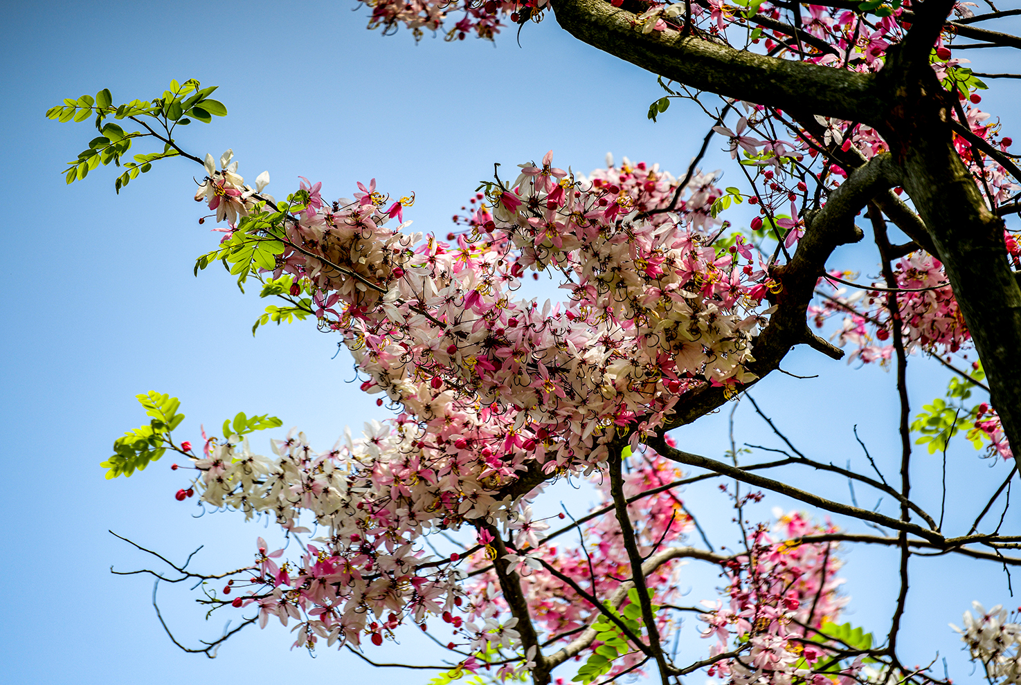 �޹�����