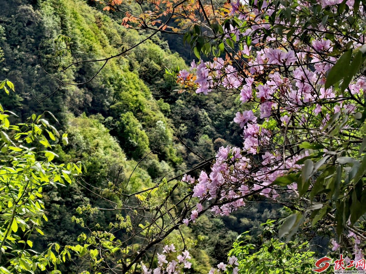 845420b7e6ea0acd30ee335ac7b819c0