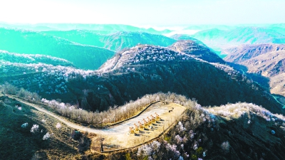 �����ƽ� �����ػ�