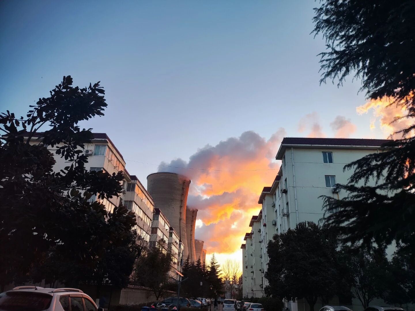 ��΢����
