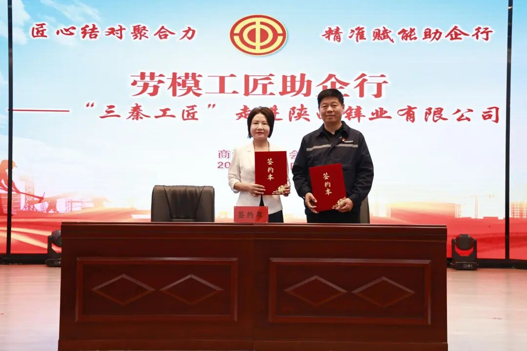 陕西锌业公司